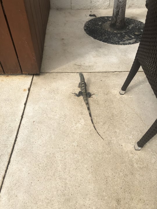 Sonstiges Blue Diamond Luxury Boutique Hotel