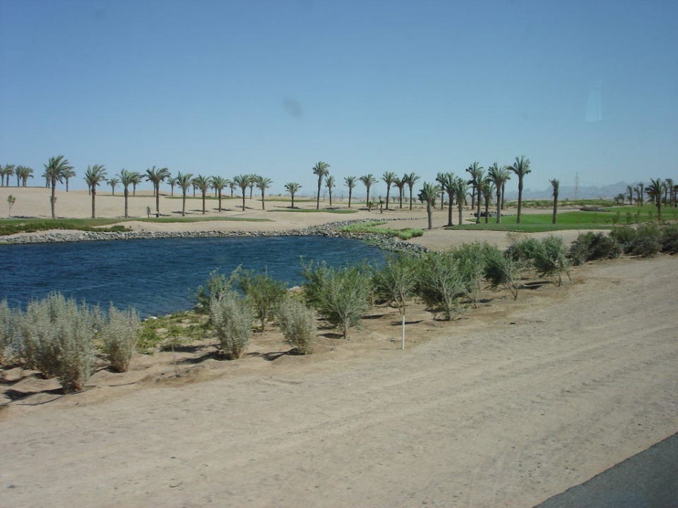 Golfplatz angrenzend Jaz Makadi Saraya Resort