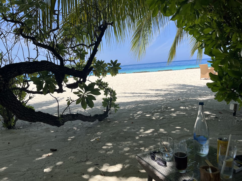 Gastro Kuramathi Maldives