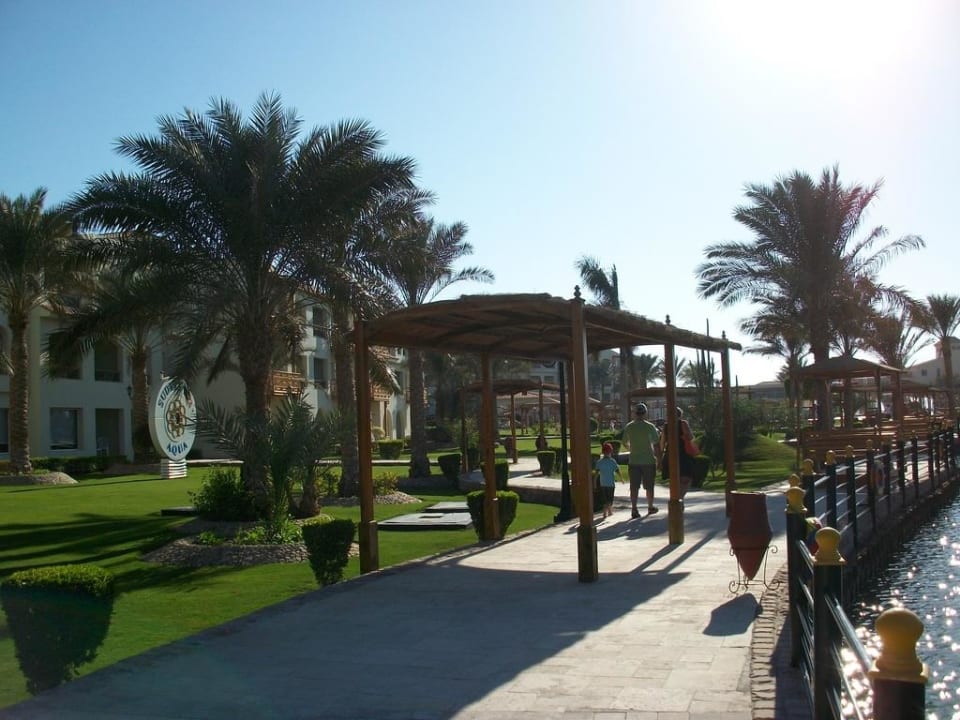 Links hinter Palme der Fitnessraum Pickalbatros Dana Beach Resort - Hurghada