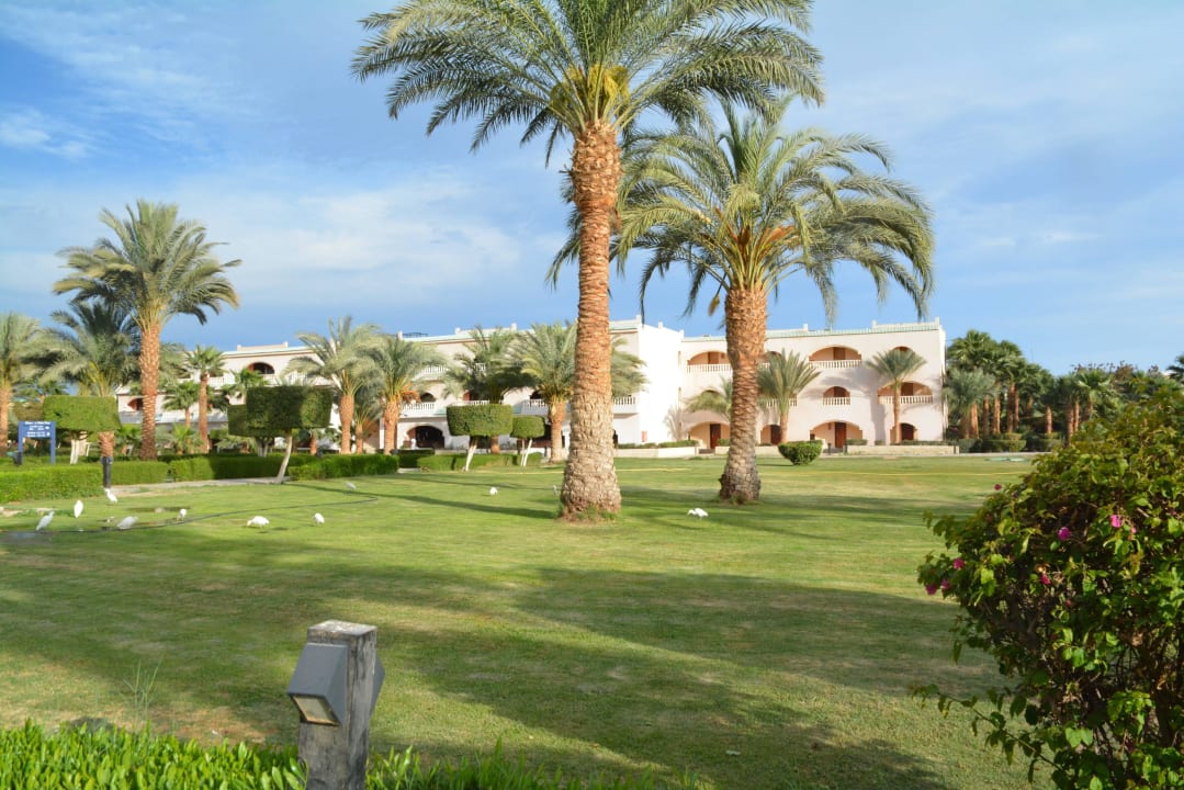 Территория отеля Blend Club Aqua Resort