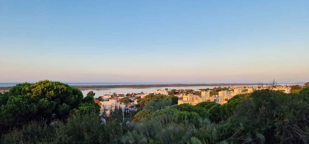 Ausblick Garden Playanatural - Adults only