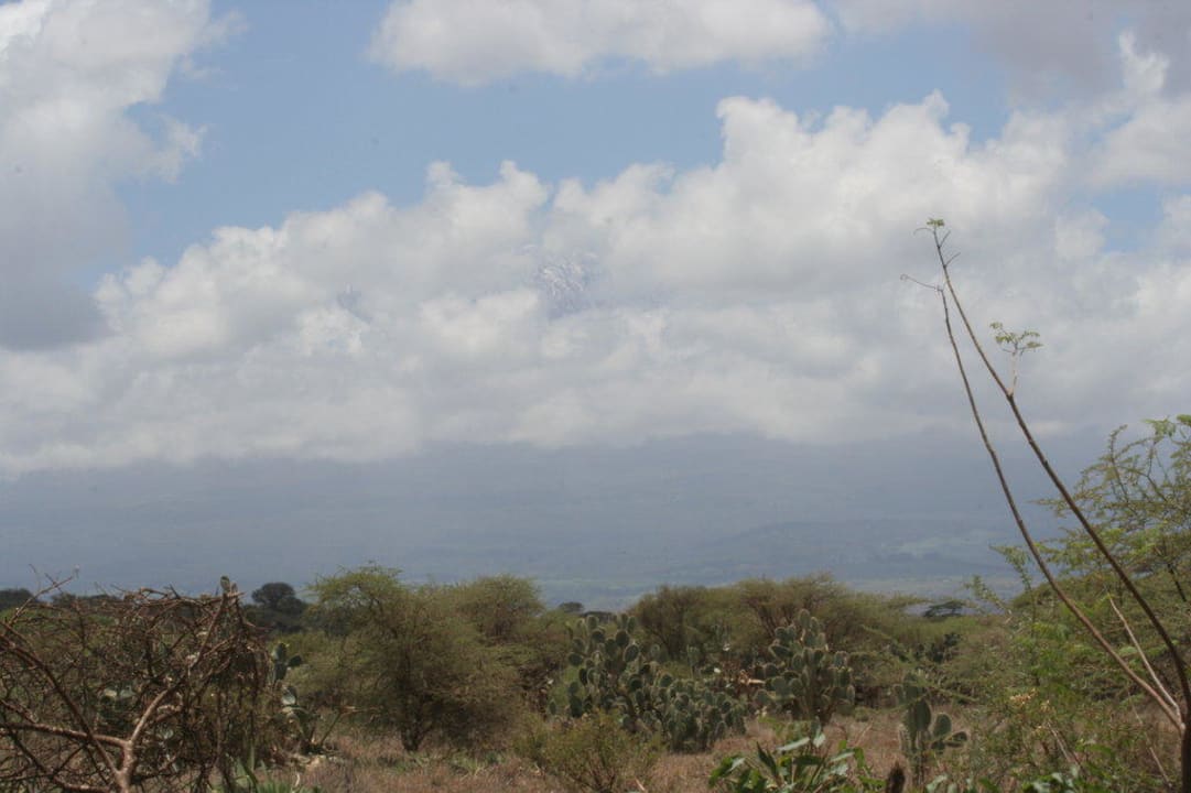 Widok z ogrodu na Kilimandzaro Hotel Amboseli Sopa Lodge
