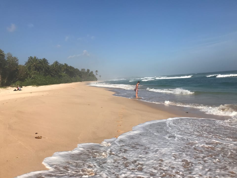 Strand Hotel Haus am Meer Wilde Ananas