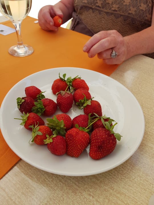 Gastro Solivia Hotel