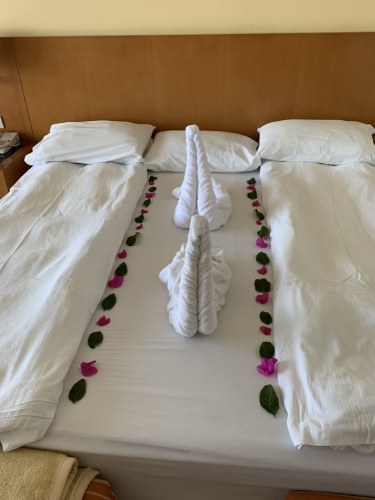 Zimmer Cleopatra Luxury Resort Makadi Bay