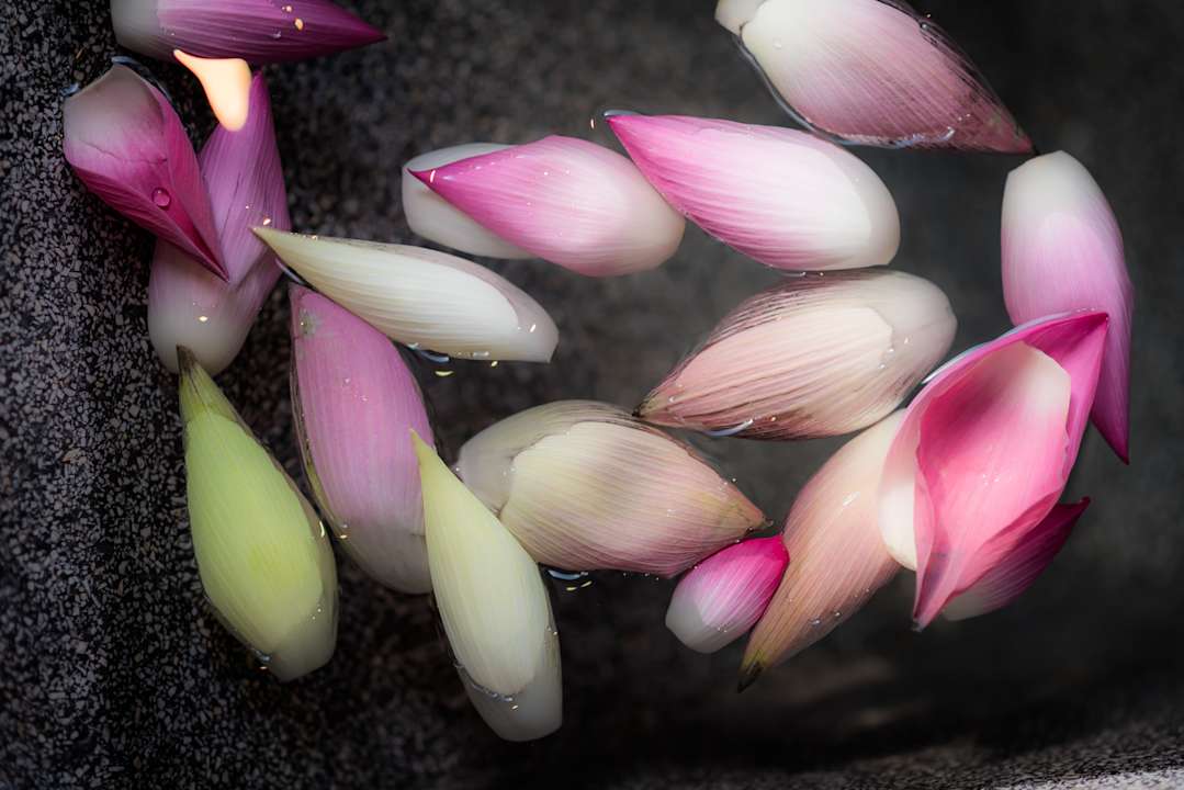 Sonstiges Sokkhak Boutique Resort