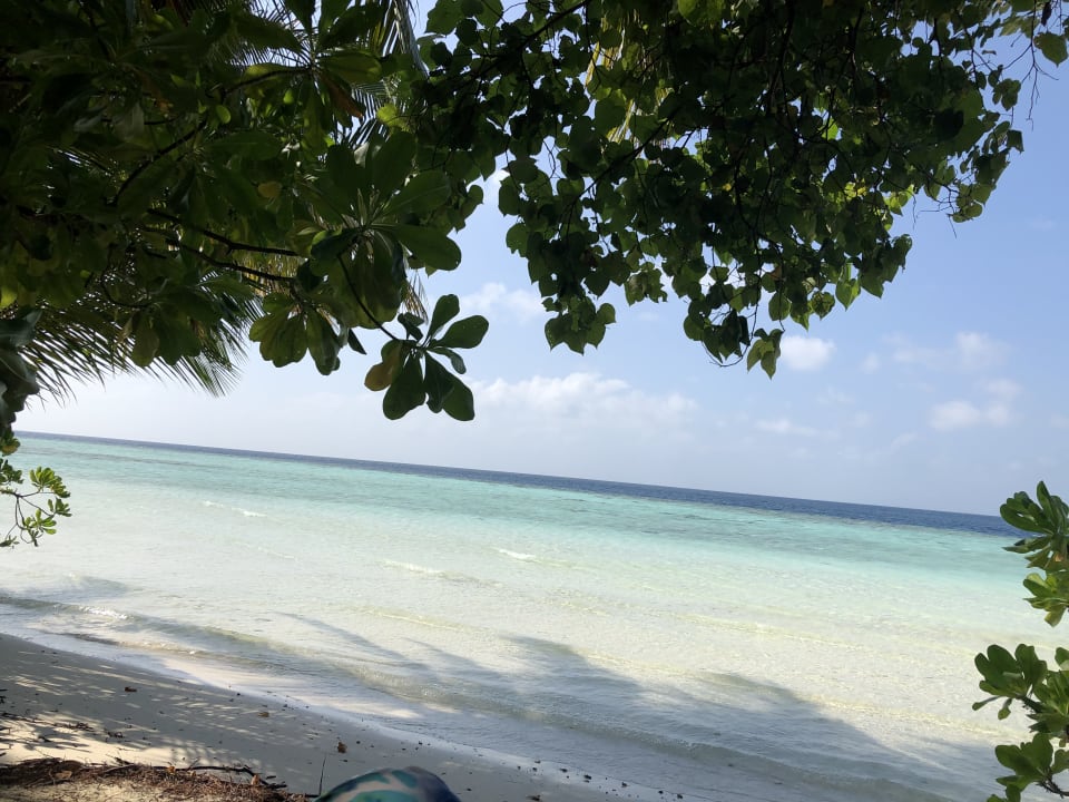 Strand Biyadhoo Island Resort