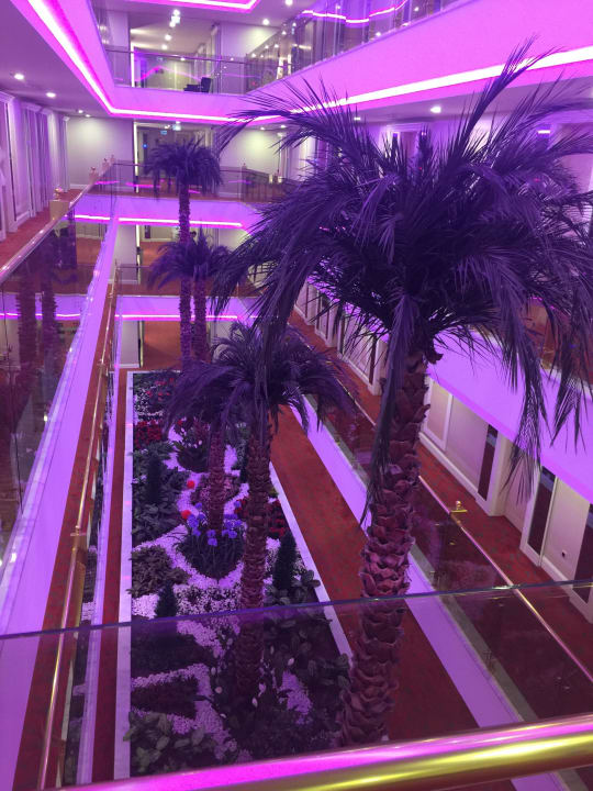 Bepflanzung innen Azura Deluxe Resort & Spa Hotel