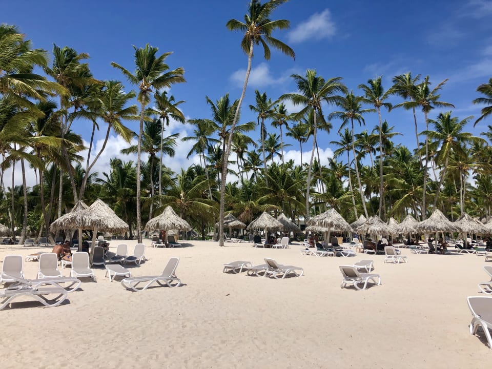 Strand Meliá Caribe Beach Resort-All Inclusive