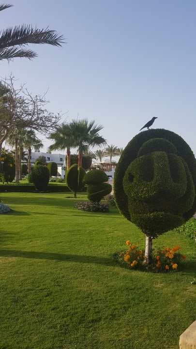 Gepflegte Gartenanlage. Sharm Club Beach Resort