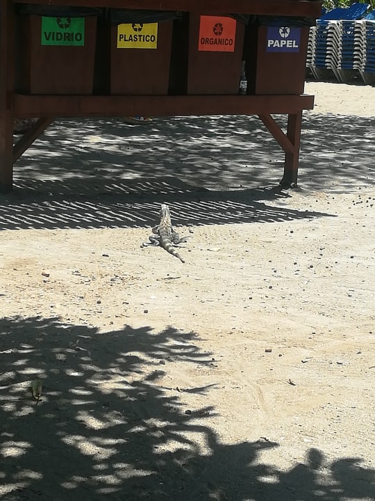 Sonstiges Hotel Riu Guanacaste