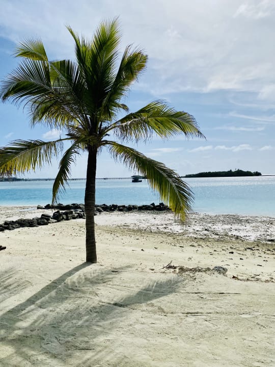 Strand Cinnamon Dhonveli Maldives