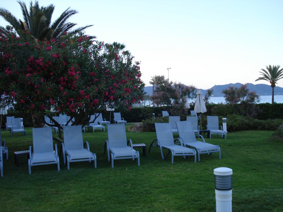 Bequeme Liegebetten im Garten Hipotels Flamenco