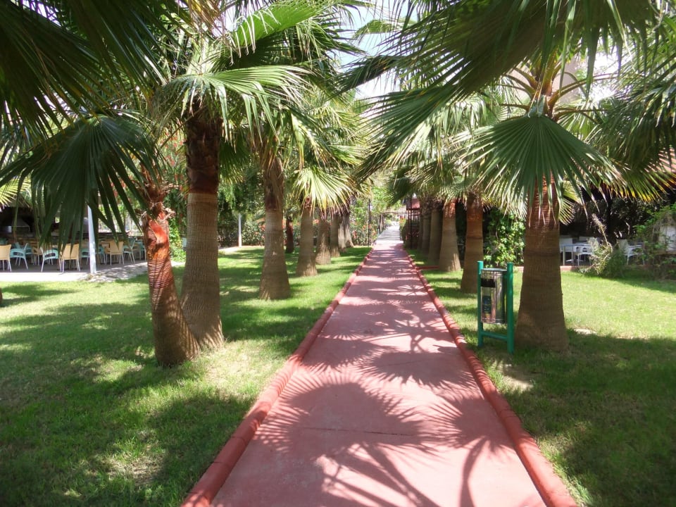 Der weg zum strand Hotel Royal Garden Beach