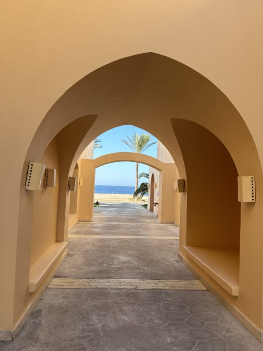 Gartenanlage Steigenberger Coraya Beach - Adults only