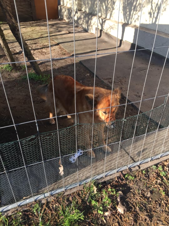 Sonstiges Hotel Acamed Resort