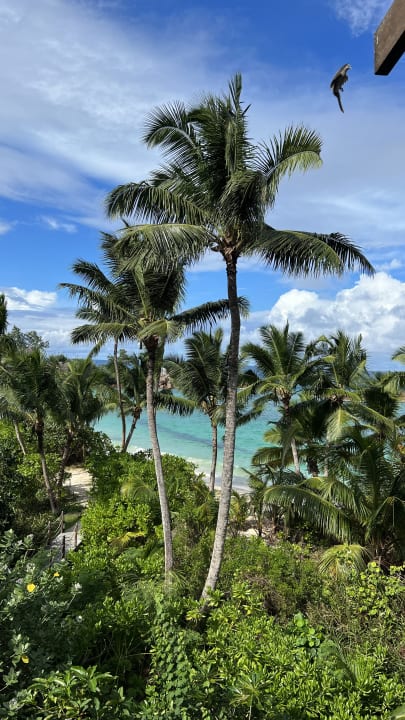 Ausblick Constance Lemuria