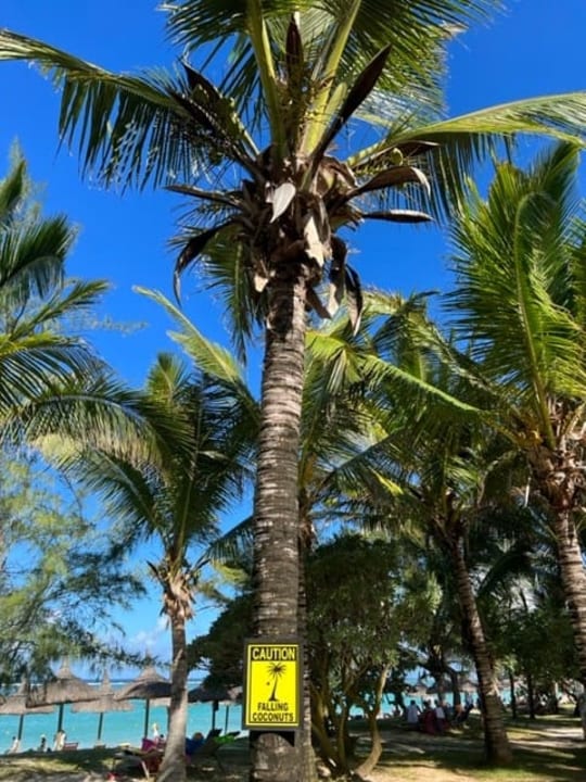 Strand Crystals Beach Resort Belle Mare, a member of Radisson Individuals