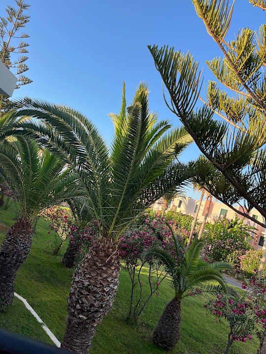 Gartenanlage HARPIN Happy Days Beach Hotel