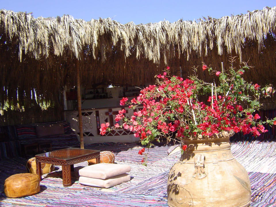 Ab 21. 00 Uhr geöffnet Hotel Gorgonia Beach Resort