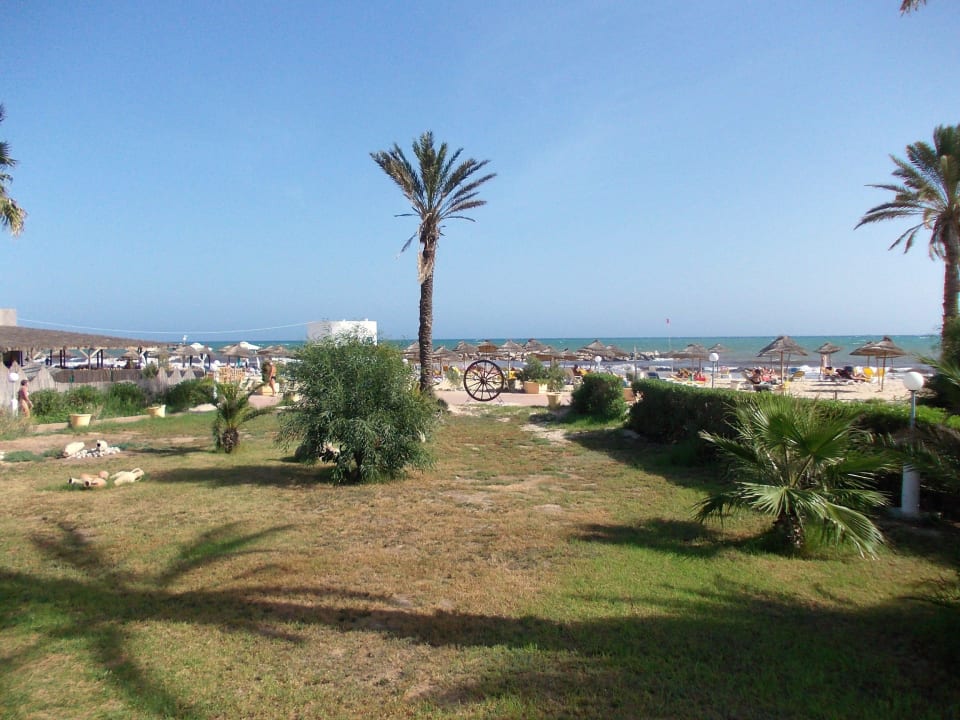 Blick zum Strand Royal Lido Resort & Spa