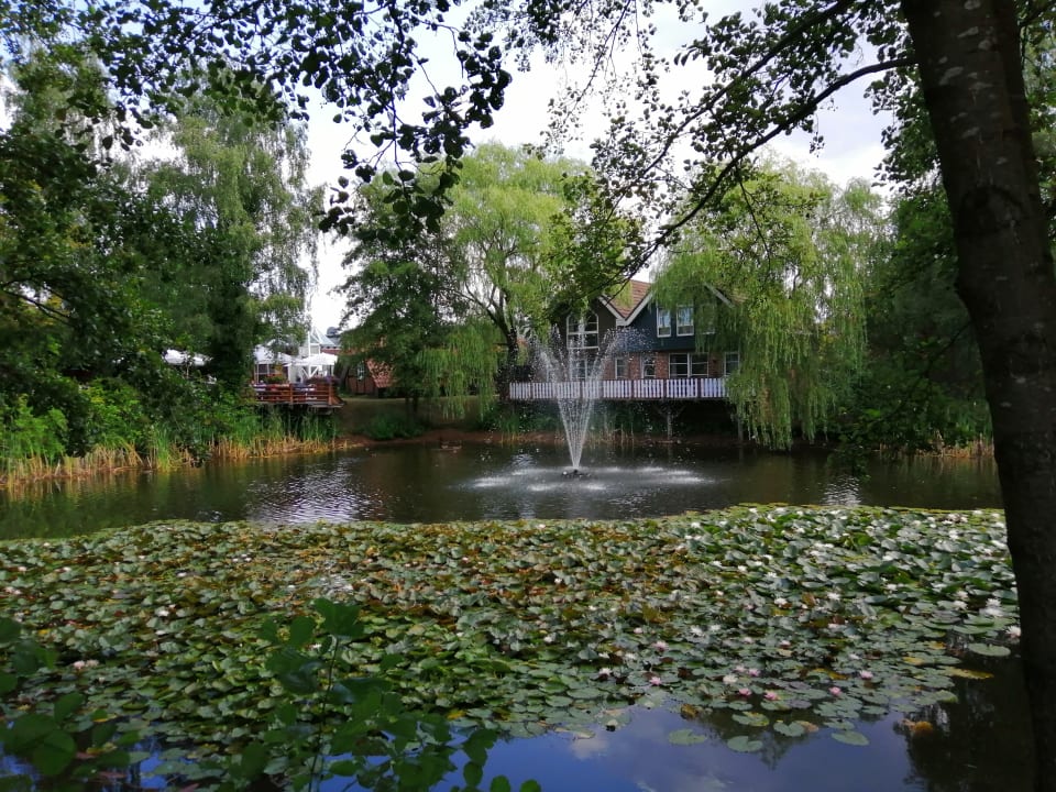 Garten Eurostrand Resort Lüneburger Heide