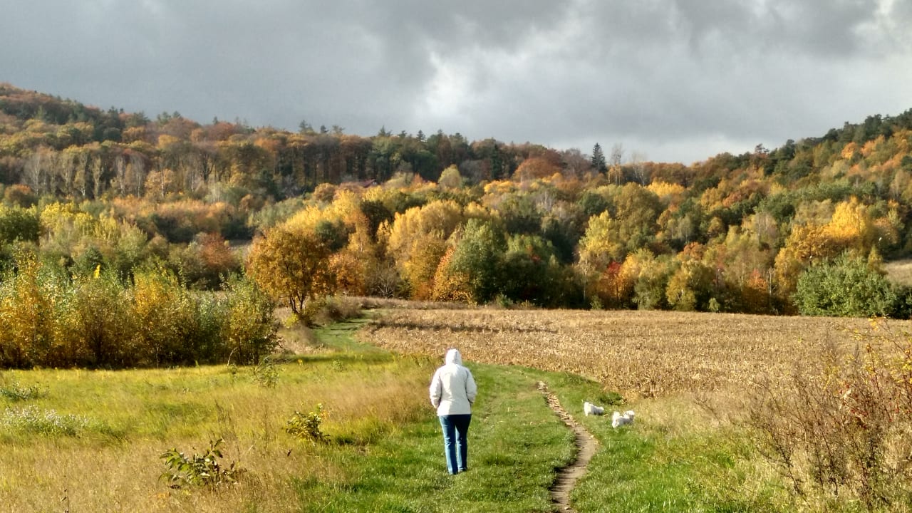Sonstiges Słoneczny Apartament