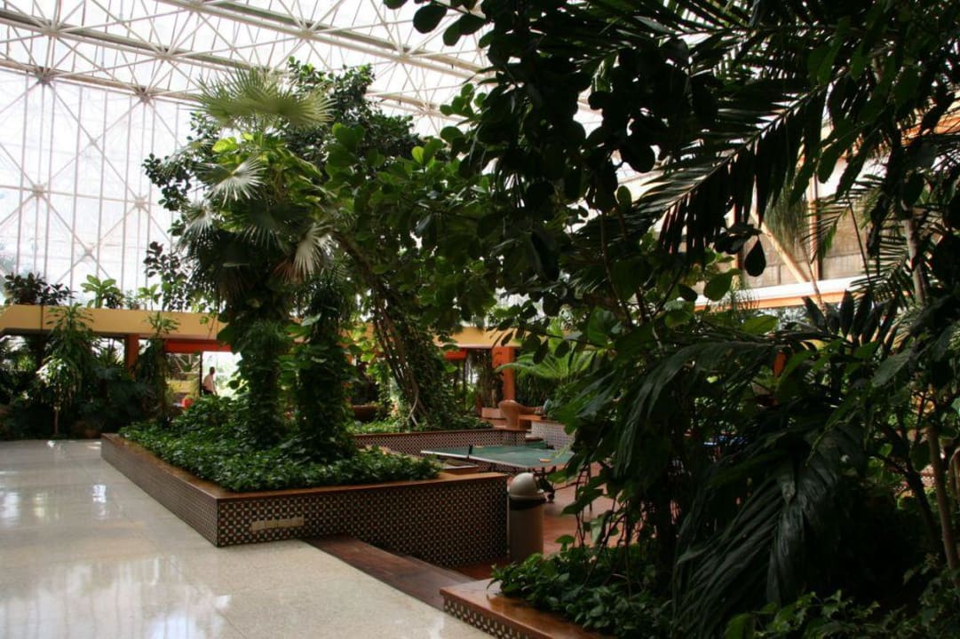 Eingangsbereich Hotel Hotel Puntarena Playa Caleta