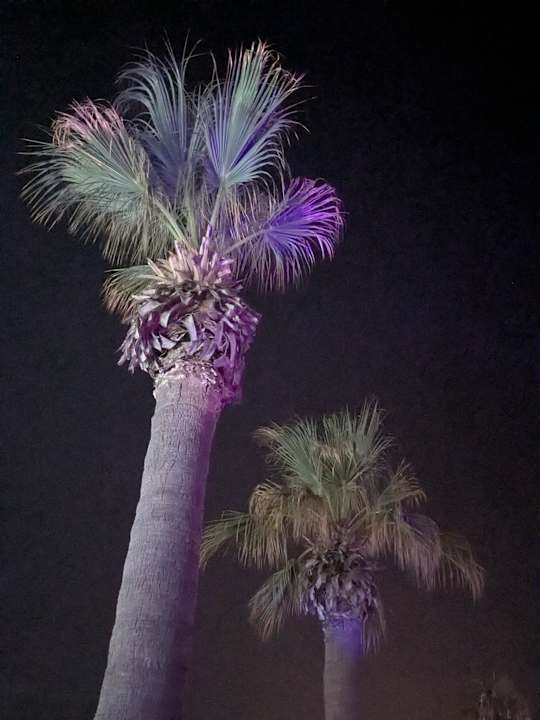 Pool Calimera One Resort Jockey