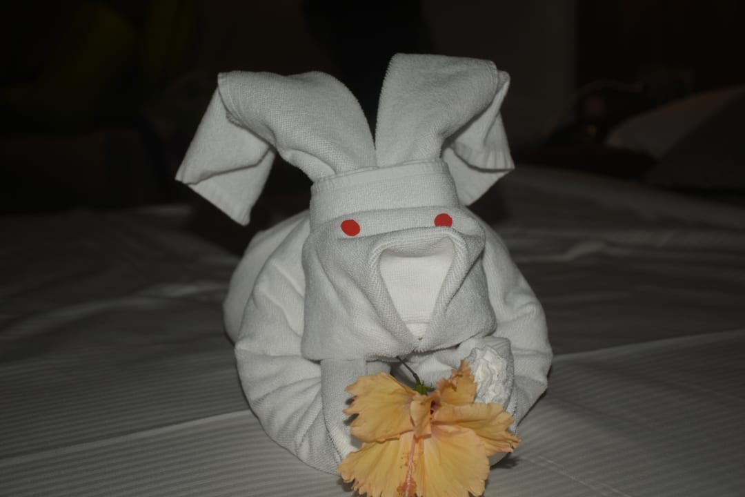 Zimmer Hotel Riu Palace Maldivas