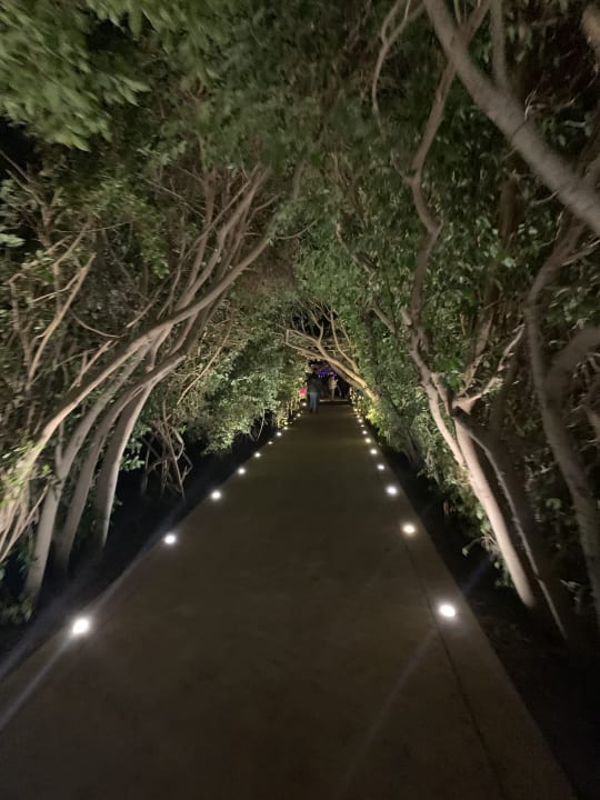 Gartenanlage Fort Arabesque Resort, Spa & Villas