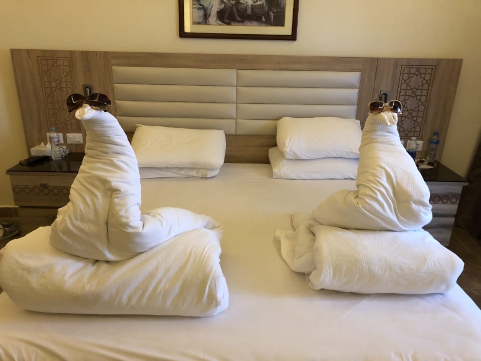 Zimmer Pickalbatros Aqua Blu Resort - Hurghada