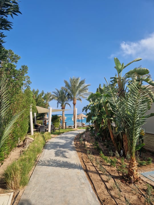 Gartenanlage Iberotel Casa Del Mar Resort