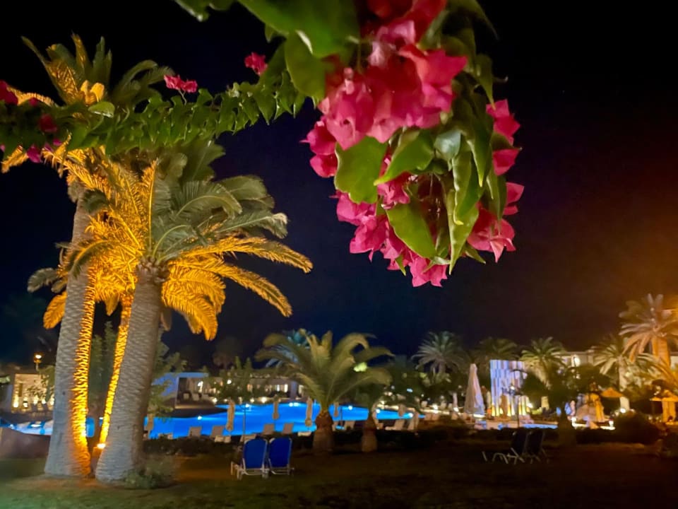 Außenansicht Anissa Beach & Village