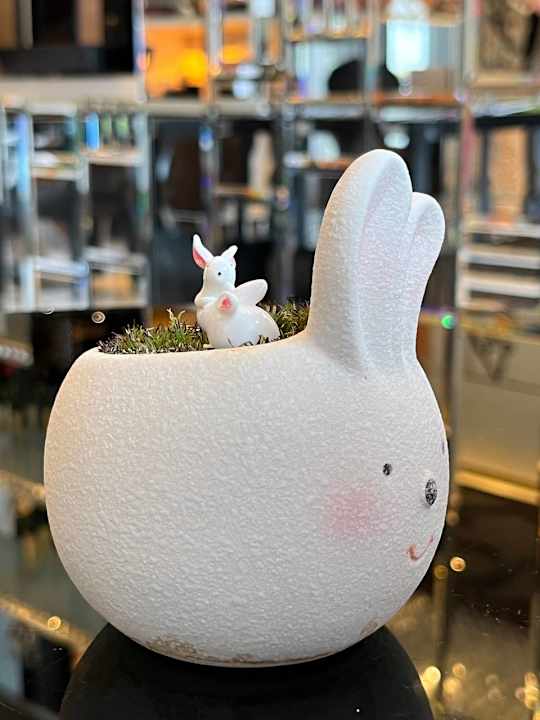 Sonstiges Hotel Mira Moon