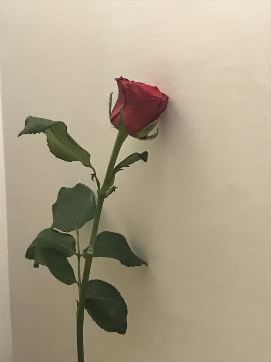 Sonstiges Rhodos Horizon Resort