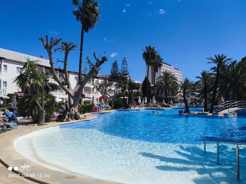 Pool Alcudia Garden Aparthotel