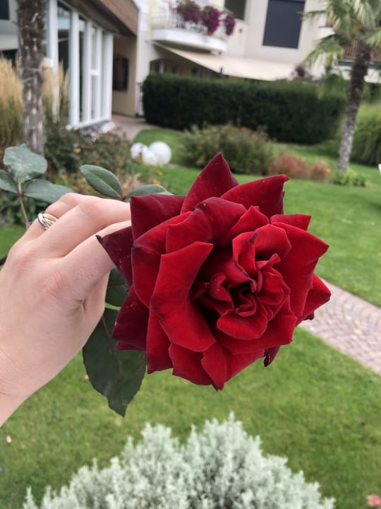 Gartenanlage Sonnen Resort