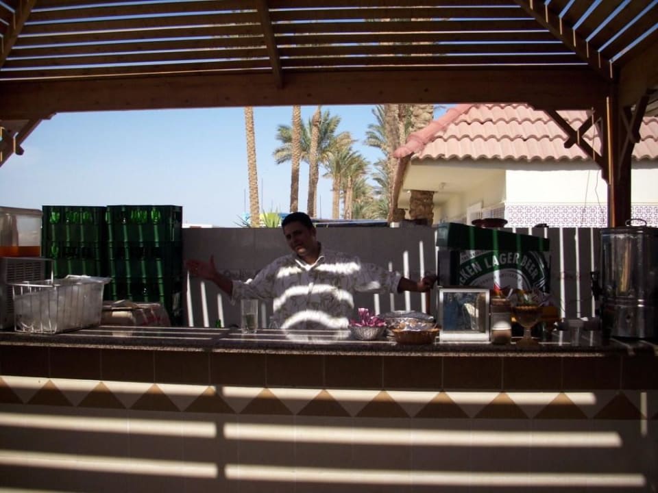 Strandbar Pickalbatros Alf Leila Wa Leila Resort - Neverland Hurghada