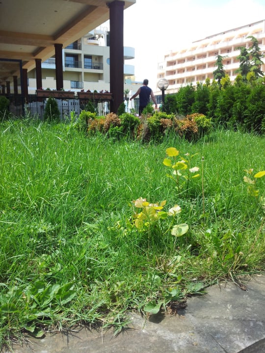 Nur Unkraut HI Hotels Imperial Resort