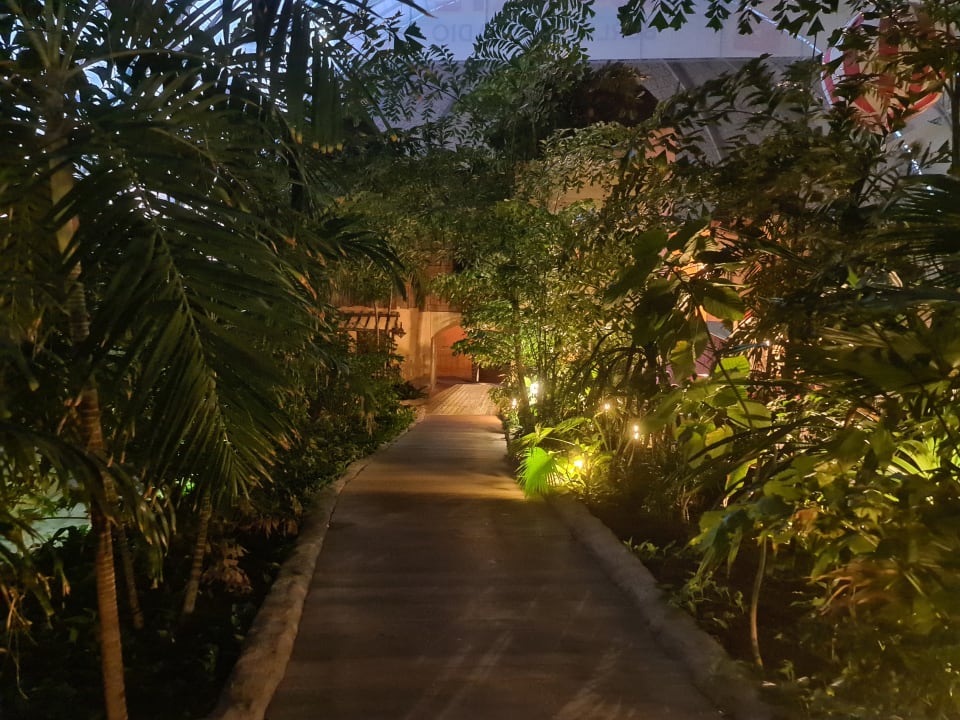 Gartenanlage Tropical Islands Resort