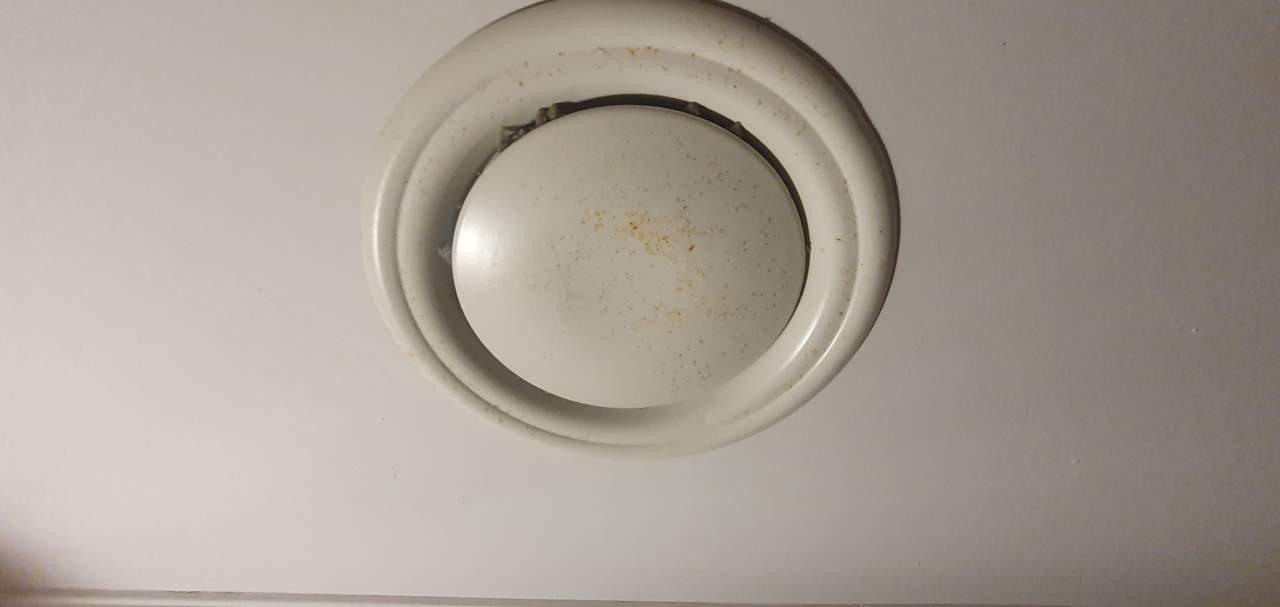 Zimmer Well Palace Side