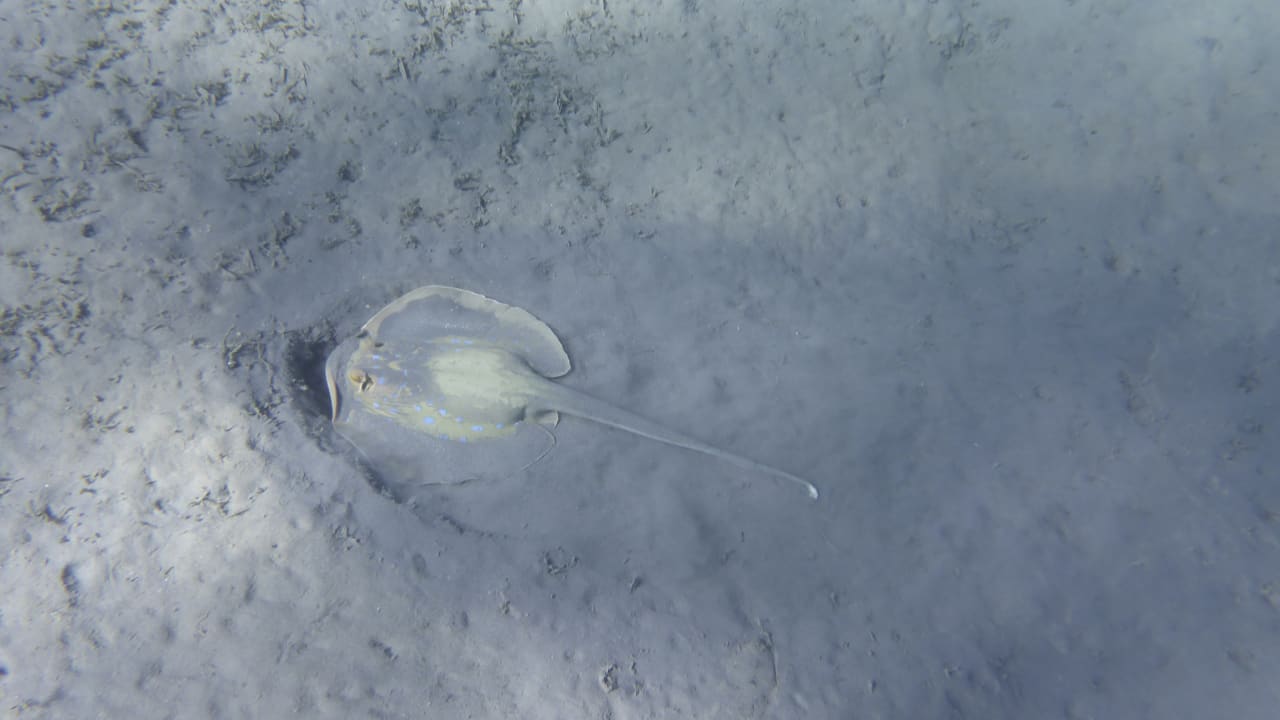 Sport & Freizeit Cleopatra Luxury Resort Makadi Bay