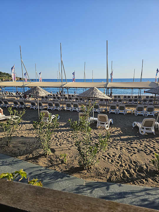 Strand Arycanda Kirman Premium