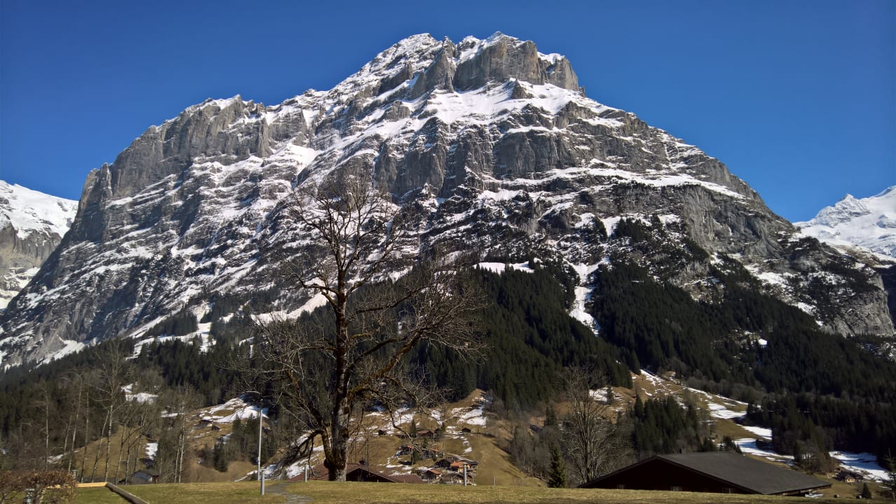 Aussicht vom Wellnessbereich Sunstar Hotel Grindelwald