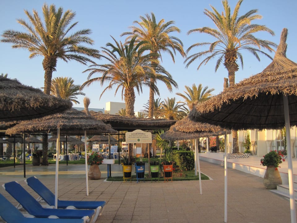 Pro odpočinek a relaxaci u bazénu El Mehdi Beach Resort