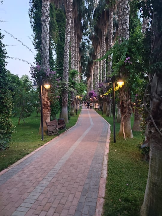 Gartenanlage Hotel Gardenia Beach