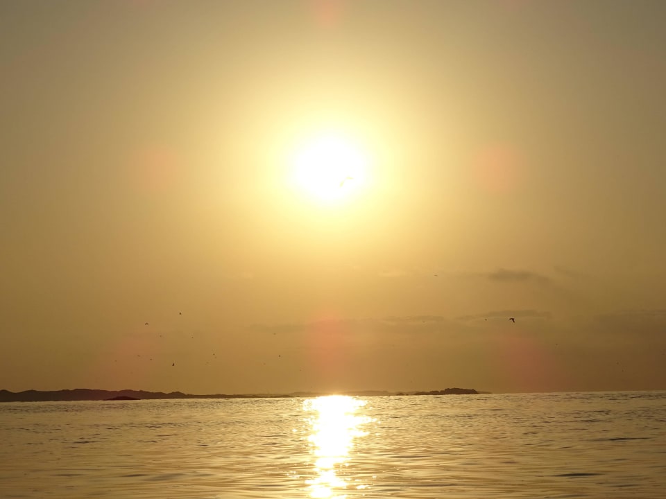 Sonnenuntergang Wyndham Garden Salalah Mirbat