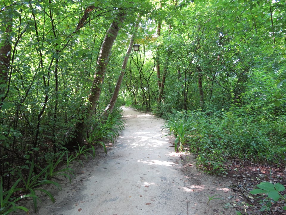 Inselwege NH Collection Maldives Reethi Resort